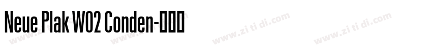 Neue Plak W02 Conden字体转换